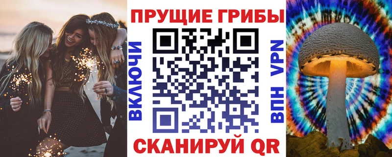 Галлюциногенные грибы мицелий  магазин  наркотиков  Хвалынск 